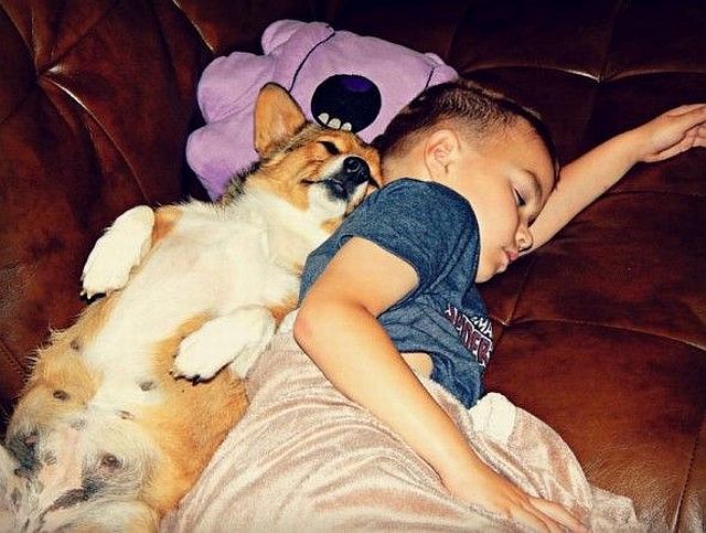 morning picdump 52 pics 12.html - 52 HD Photos | Premium Gallery 2014