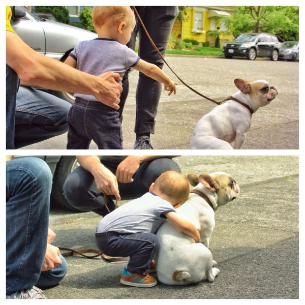 morning picdump 52 pics 12.html - 52 HD Photos | Premium Gallery 2014