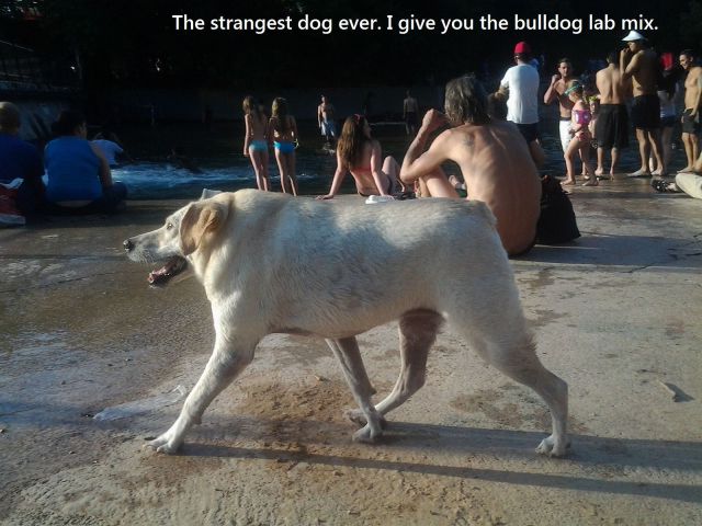 morning picdump 52 pics 12.html - 52 HD Photos | Premium Gallery 2014