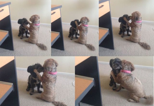 morning picdump 59 pics 25.html - 59 HD Photos | Premium Gallery 2014