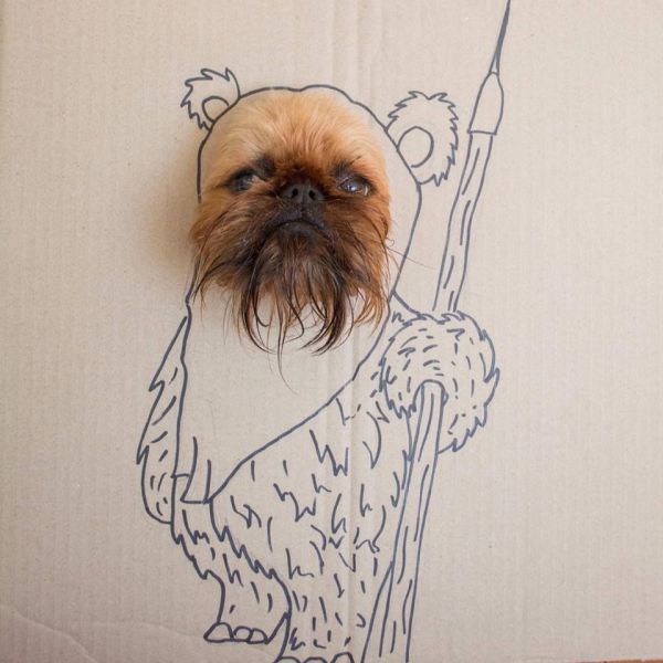 morning picdump 59 pics 25.html - 59 HD Photos | Premium Gallery 2014