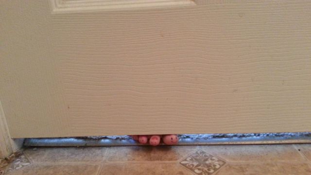 morning picdump 59 pics 25.html - 59 HD Photos | Premium Gallery 2014