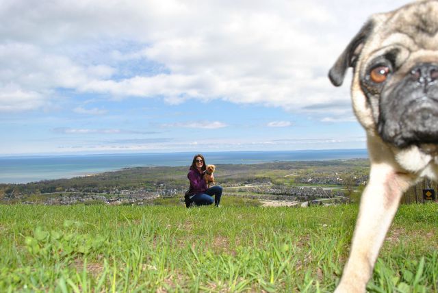 morning picdump 59 pics 25.html - 59 HD Photos | Premium Gallery 2014