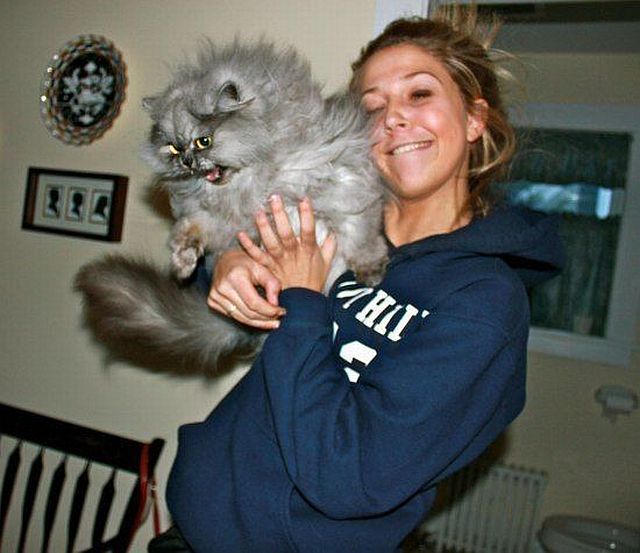 morning picdump 59 pics 25.html - 59 HD Photos | Premium Gallery 2014