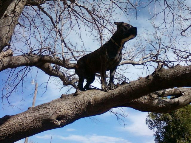 morning picdump 59 pics 25.html - 59 HD Photos | Premium Gallery 2014