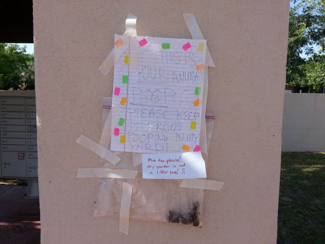 morning picdump 59 pics 25.html - 59 HD Photos | Premium Gallery 2014