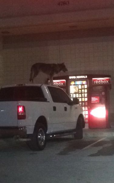 daily picdump 97 pics 28.html - 97 HD Photos | Premium Gallery 2014