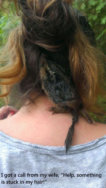 daily picdump 97 pics 28.html - 97 HD Photos | Premium Gallery 2014