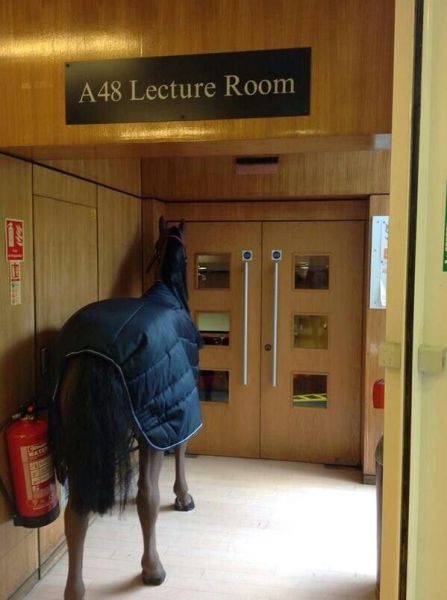 daily picdump 97 pics 28.html - 97 HD Photos | Premium Gallery 2014