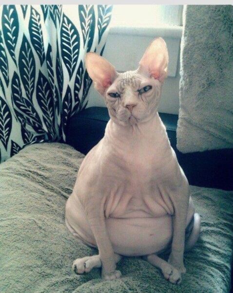 daily picdump 97 pics 28.html - 97 HD Photos | Premium Gallery 2014