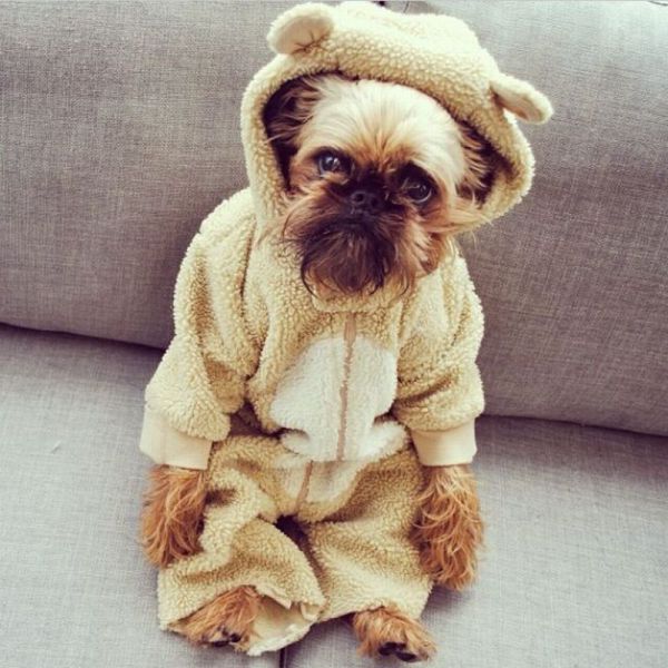 morning picdump 57 pics 24.html - 57 HD Photos | Premium Gallery 2014