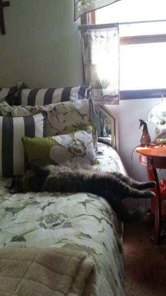 morning picdump 57 pics 24.html - 57 HD Photos | Premium Gallery 2014