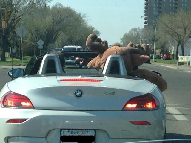 morning picdump 57 pics 24.html - 57 HD Photos | Premium Gallery 2014