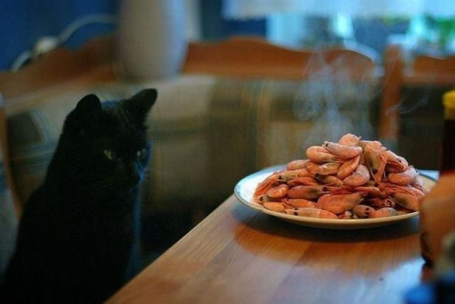 morning picdump 57 pics 24.html - 57 HD Photos | Premium Gallery 2014