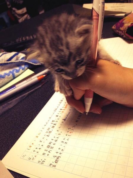 page,5,top 500 morning pics of the year 2014.html - 1 HD Photos | Premium Gallery 2014