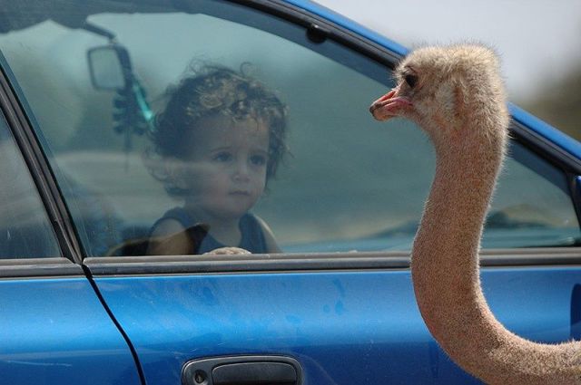 morning picdump 57 pics 24.html - 57 HD Photos | Premium Gallery 2014