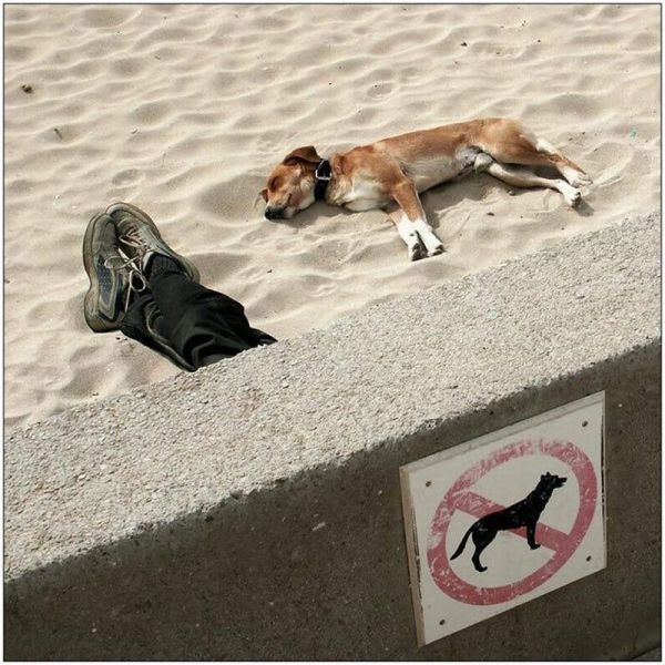 morning picdump 57 pics 24.html - 57 HD Photos | Premium Gallery 2014