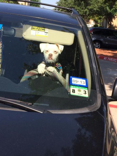 morning picdump 57 pics 24.html - 57 HD Photos | Premium Gallery 2014