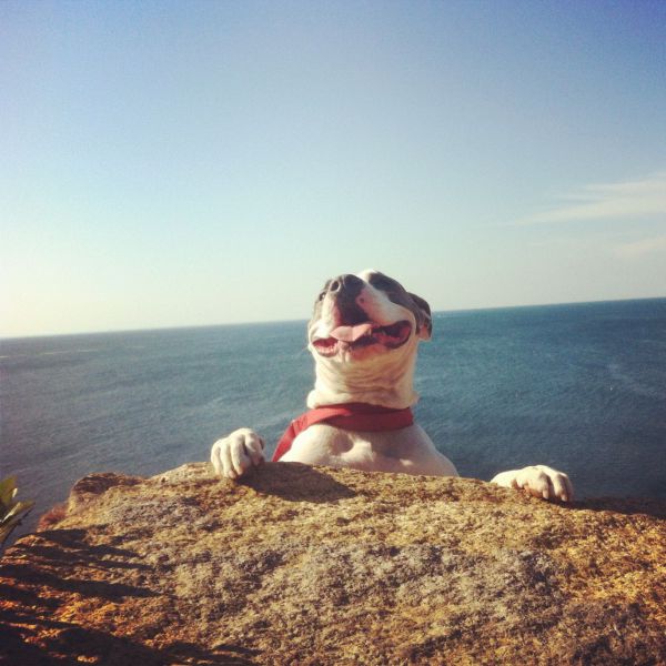 morning picdump 57 pics 24.html - 57 HD Photos | Premium Gallery 2014