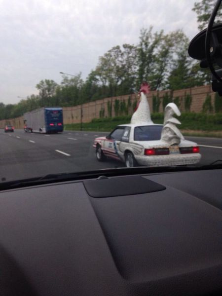 morning picdump 57 pics 24.html - 57 HD Photos | Premium Gallery 2014