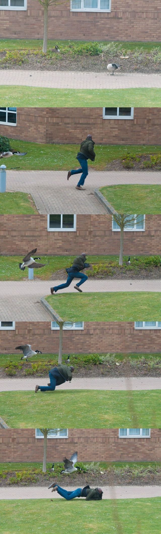 morning picdump 57 pics 24.html - 57 HD Photos | Premium Gallery 2014