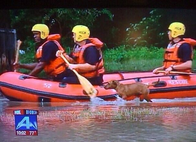 morning picdump 60 pics 57.html - 60 HD Photos | Premium Gallery 2014