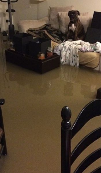 morning picdump 60 pics 57.html - 60 HD Photos | Premium Gallery 2014