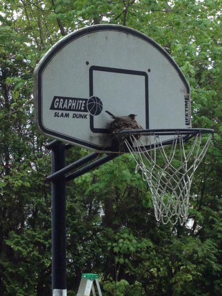 morning picdump 60 pics 57.html - 60 HD Photos | Premium Gallery 2014