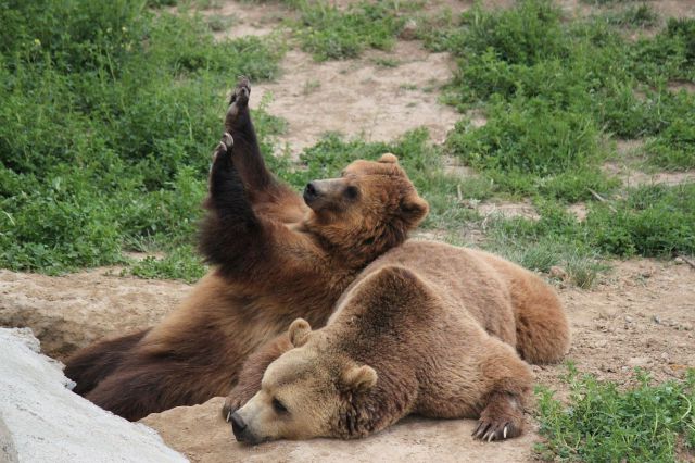 morning picdump 60 pics 57.html - 60 HD Photos | Premium Gallery 2014