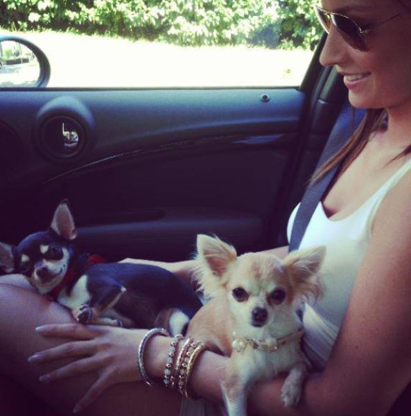 The Gorgeous 2014’s Champion League Finals WAGs