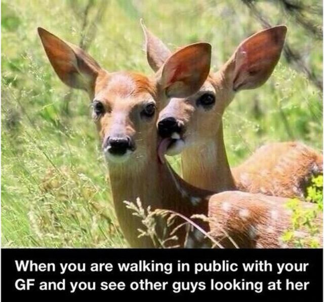 daily picdump weekend edition 117 pics 2.html - 117 HD Photos | Premium Gallery 2014