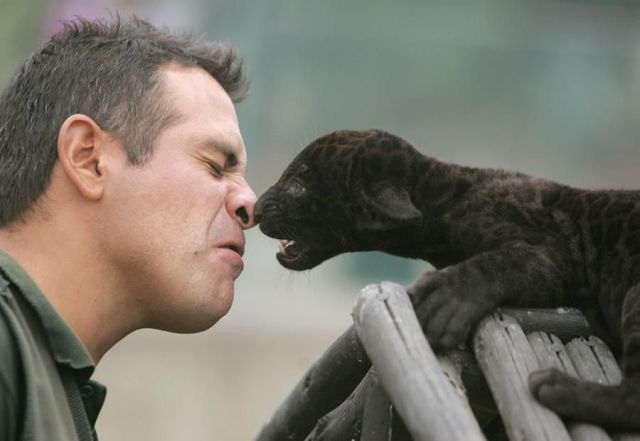 daily picdump weekend edition 117 pics 2.html - 117 HD Photos | Premium Gallery 2014