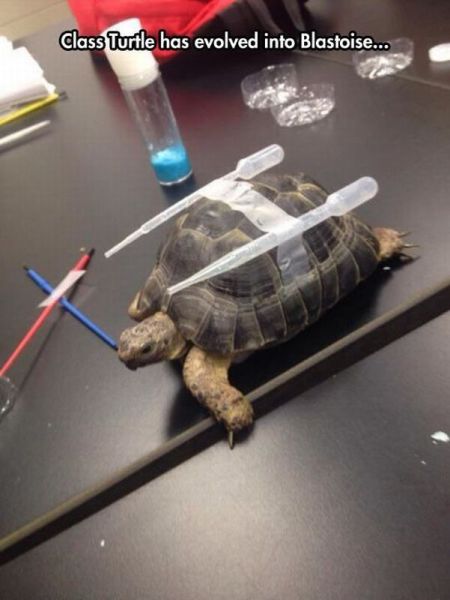 Daily Picdump [WEEKEND EDITION]