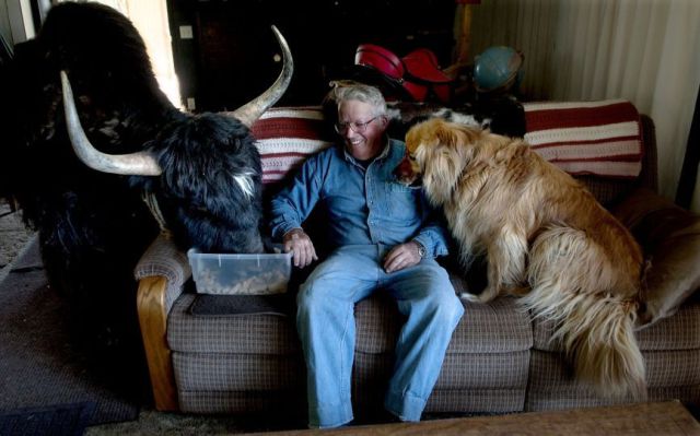 Daily Picdump [WEEKEND EDITION]