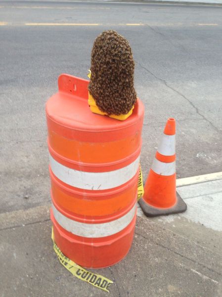 daily picdump weekend edition 117 pics 2.html - 117 HD Photos | Premium Gallery 2014