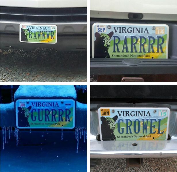 daily picdump weekend edition 117 pics 2.html - 117 HD Photos | Premium Gallery 2014