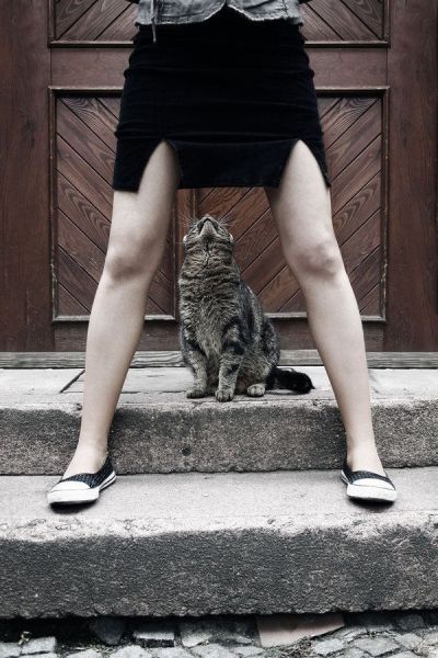 daily picdump weekend edition 117 pics 2.html - 117 HD Photos | Premium Gallery 2014