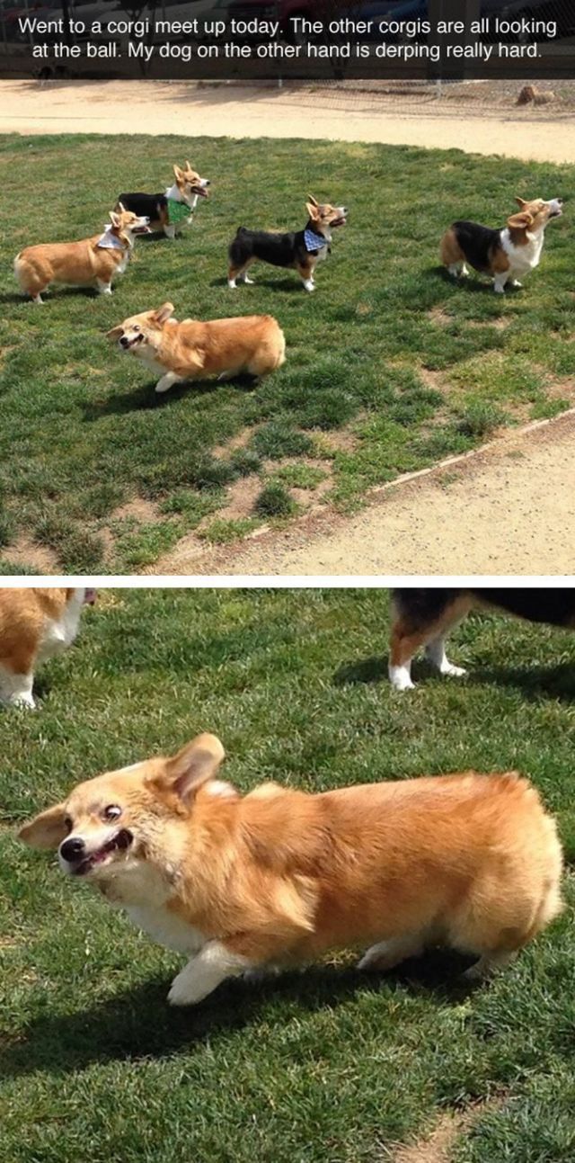 daily picdump weekend edition 117 pics 2.html - 117 HD Photos | Premium Gallery 2014