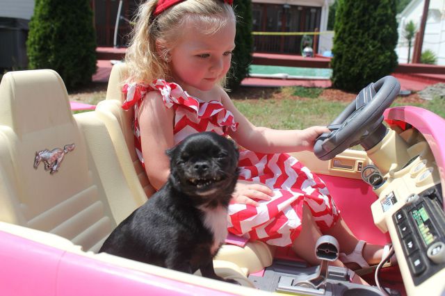 morning picdump 59 pics 7.html - 59 HD Photos | Premium Gallery 2014