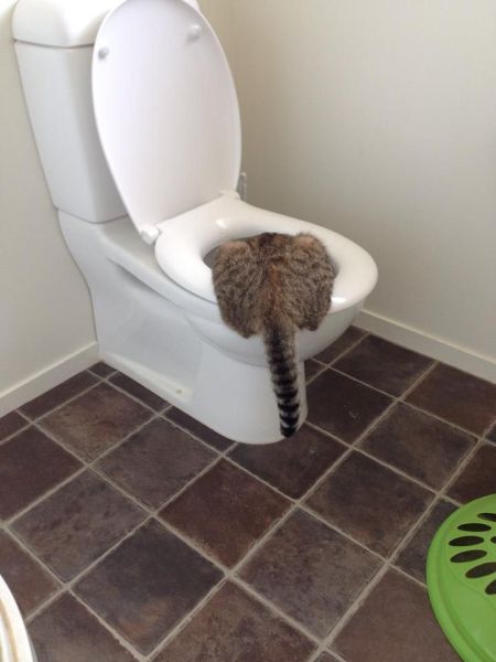 morning picdump 59 pics 7.html - 59 HD Photos | Premium Gallery 2014