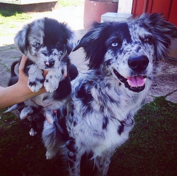 page,7,top 500 morning pics of the year 2014.html - 1 HD Photos | Premium Gallery 2014