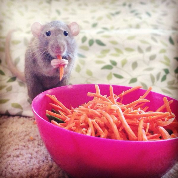 morning picdump 56 pics 14.html - 56 HD Photos | Premium Gallery 2014