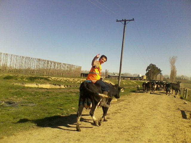 morning picdump 56 pics 14.html - 56 HD Photos | Premium Gallery 2014