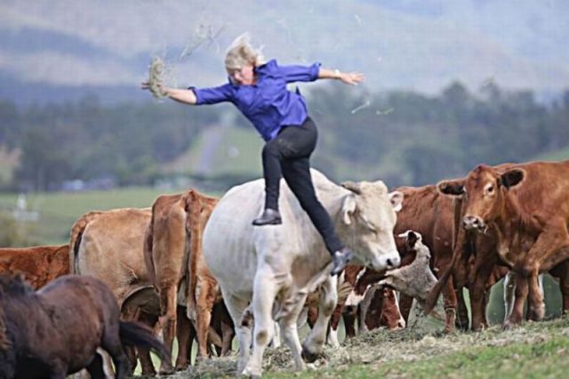 morning picdump 56 pics 14.html - 56 HD Photos | Premium Gallery 2014