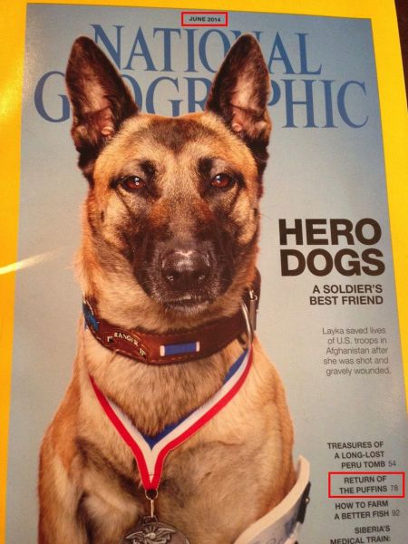 daily picdump 92 pics 2.html - 92 HD Photos | Premium Gallery 2014