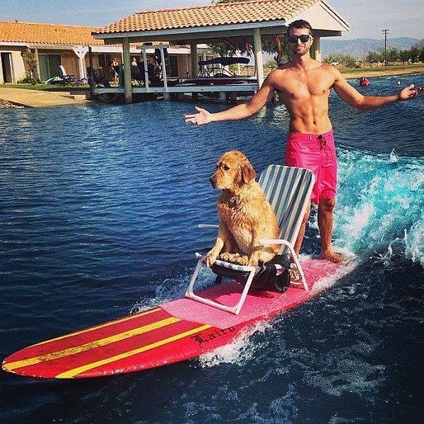 daily picdump 92 pics 2.html - 92 HD Photos | Premium Gallery 2014