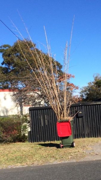 daily picdump 92 pics 2.html - 92 HD Photos | Premium Gallery 2014