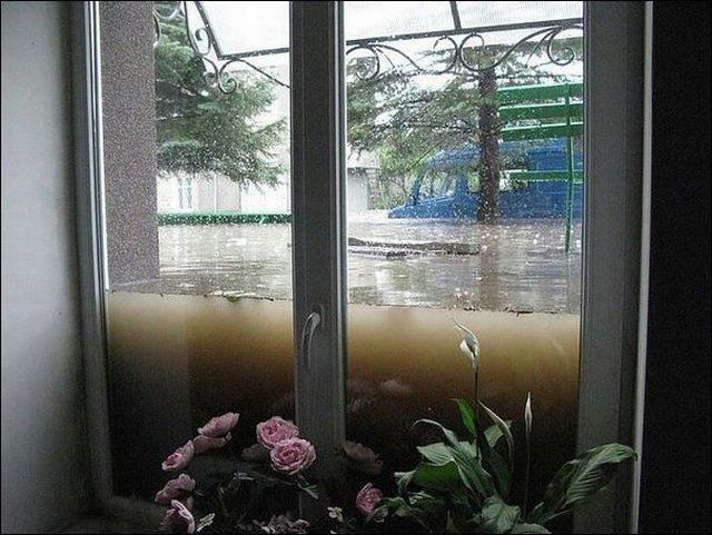 daily picdump 92 pics 2.html - 92 HD Photos | Premium Gallery 2014