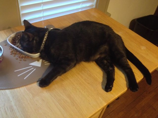 daily picdump 92 pics 2.html - 92 HD Photos | Premium Gallery 2014