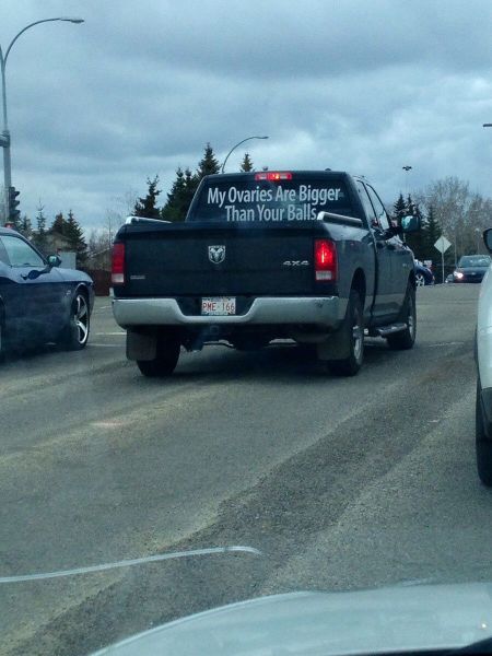 daily picdump 92 pics 2.html - 92 HD Photos | Premium Gallery 2014